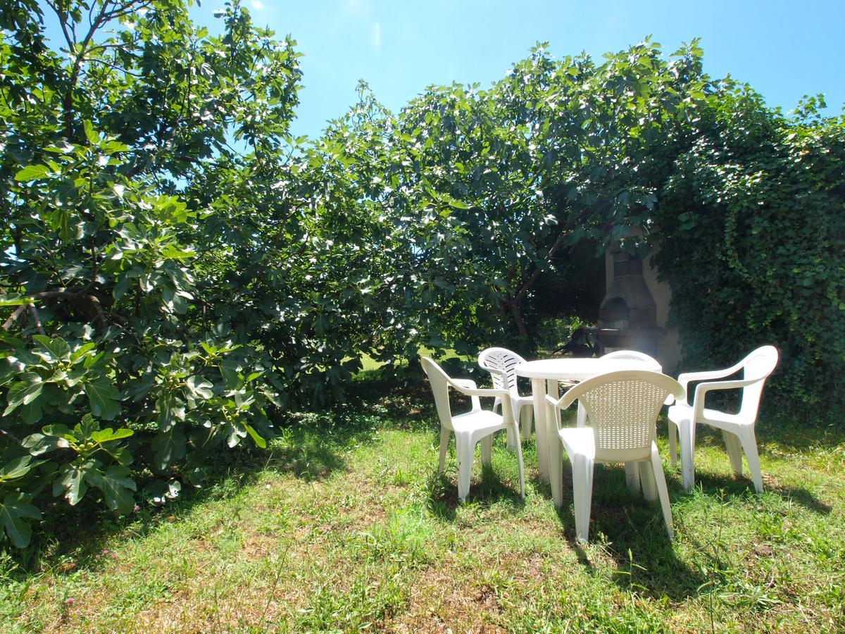 פולה Apartments Josip 74 מראה חיצוני תמונה